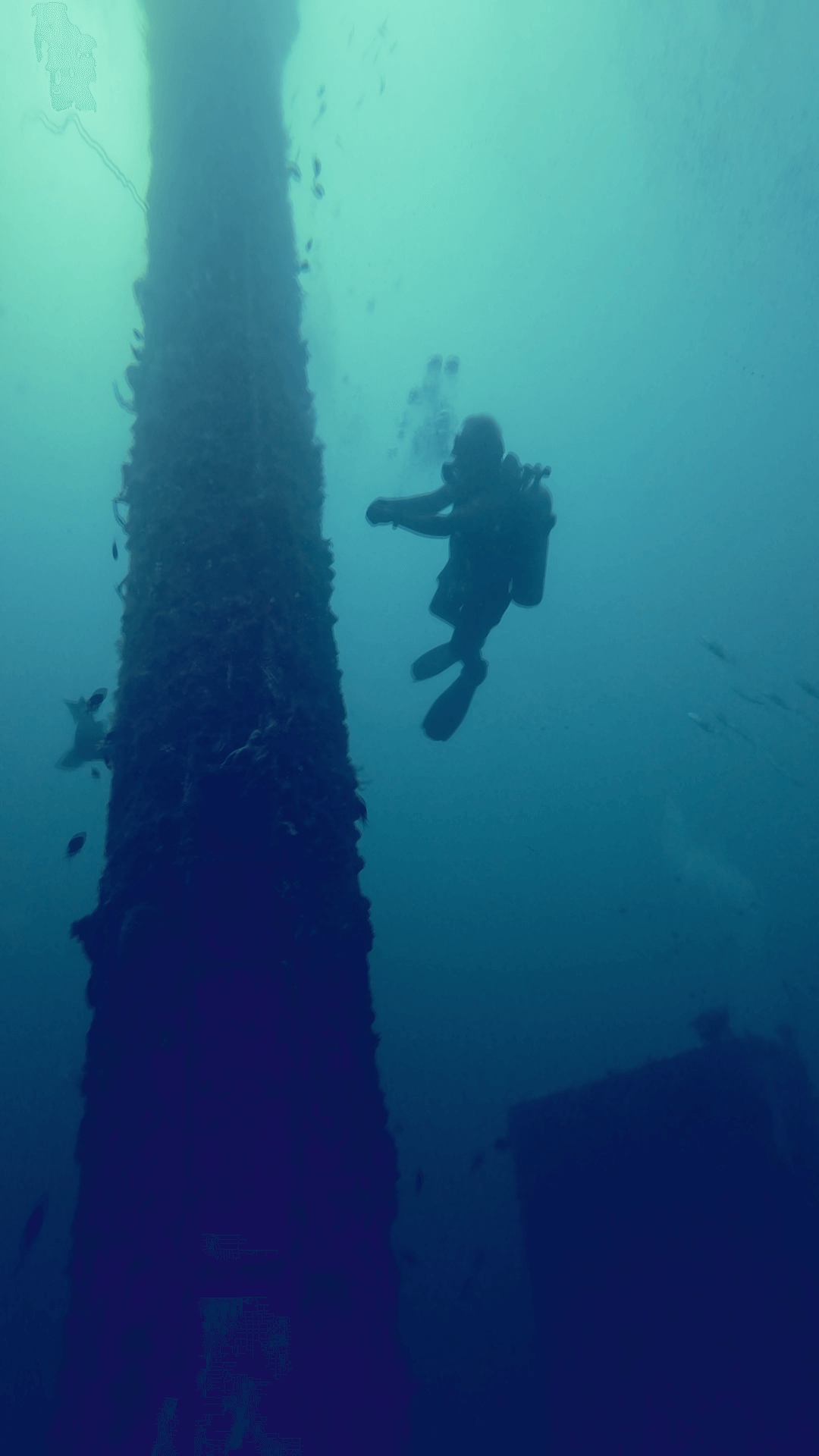 Exterior View of Olympia Maru Wreck